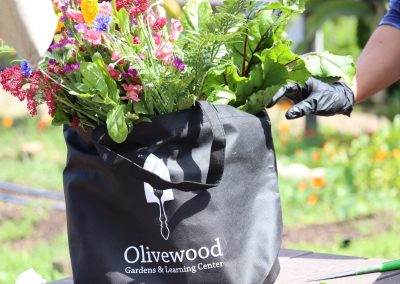 Olivewood Garden Care Bag
